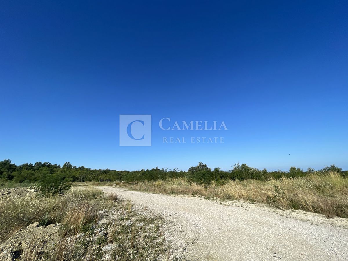 Zemljišče Ročko Polje, Buzet, 40.000m2