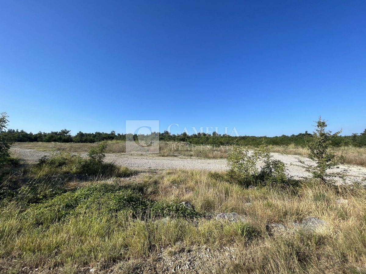 Zemljišče Ročko Polje, Buzet, 40.000m2