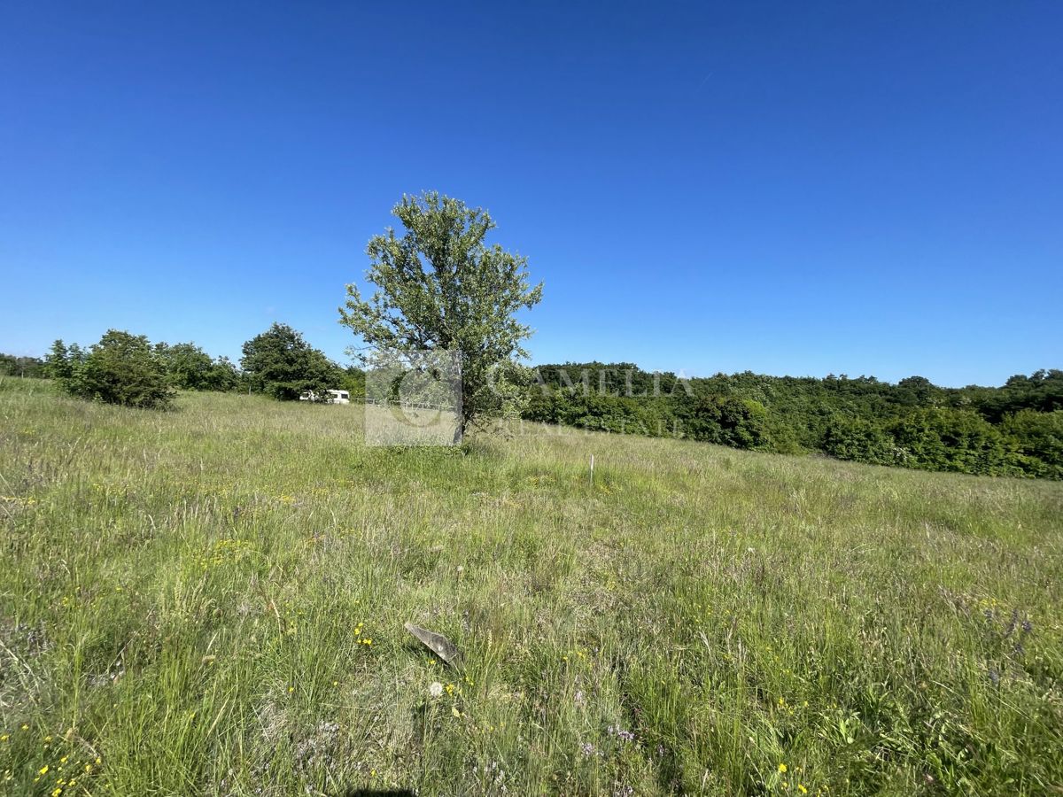 Zemljišče Barat, Kanfanar, 744m2