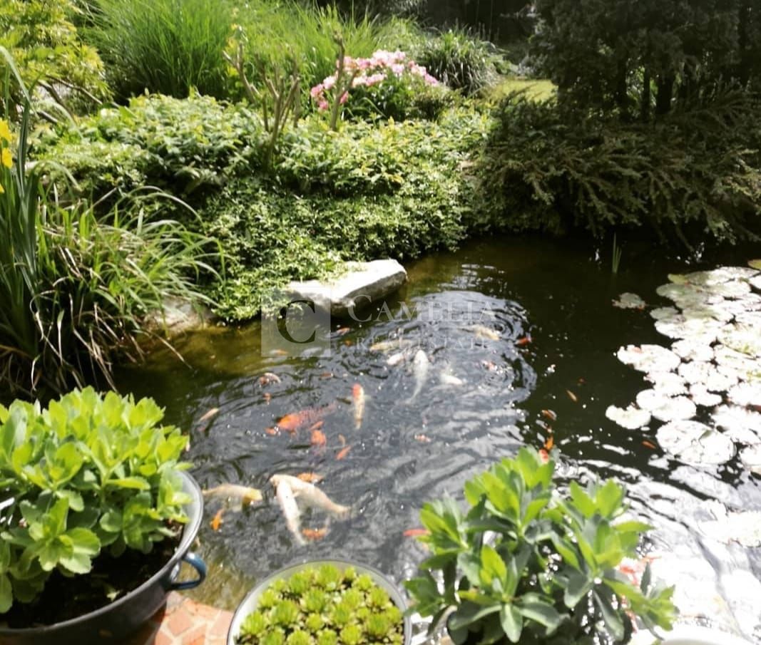 Hiša Ročko Polje, Buzet, 150m2