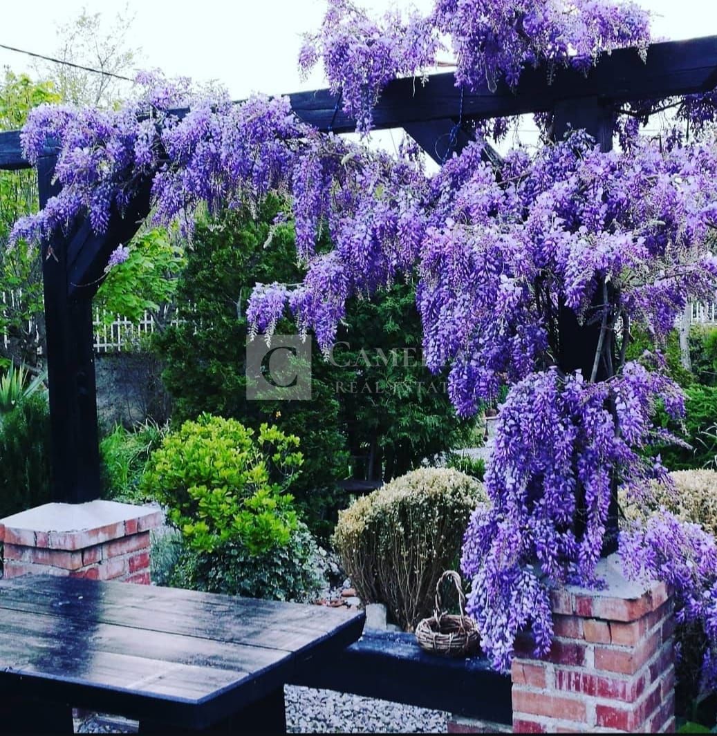 Hiša Ročko Polje, Buzet, 150m2