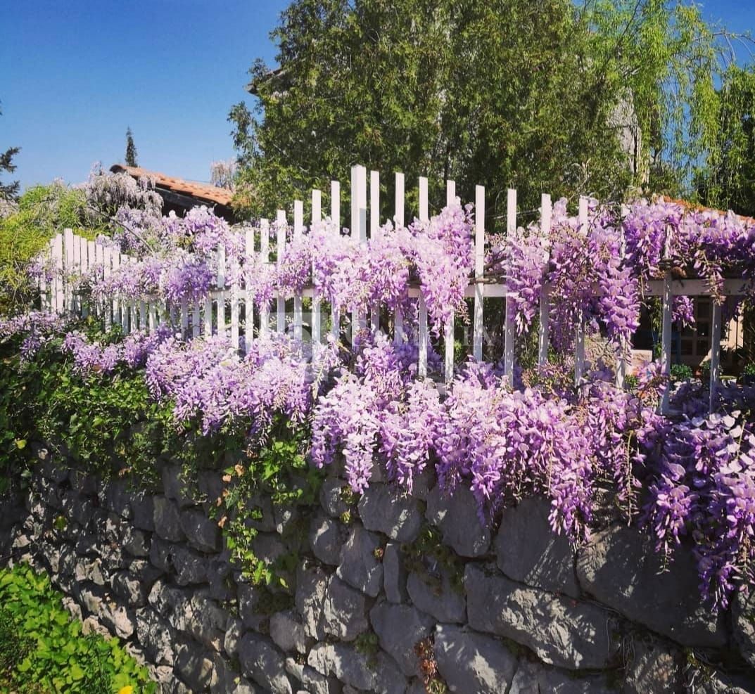 Hiša Ročko Polje, Buzet, 150m2
