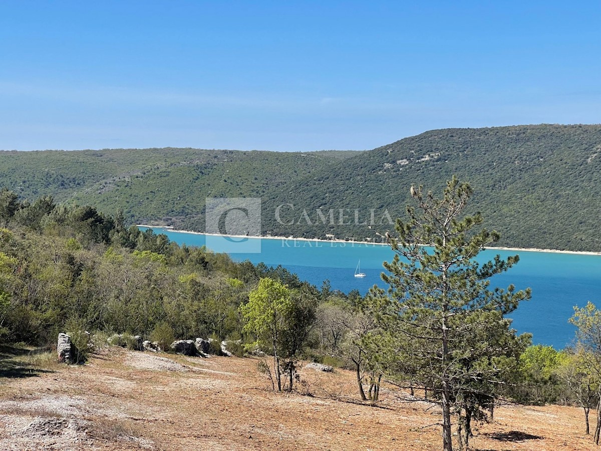 Zemljišče Trgetari, Raša, 8.680m2