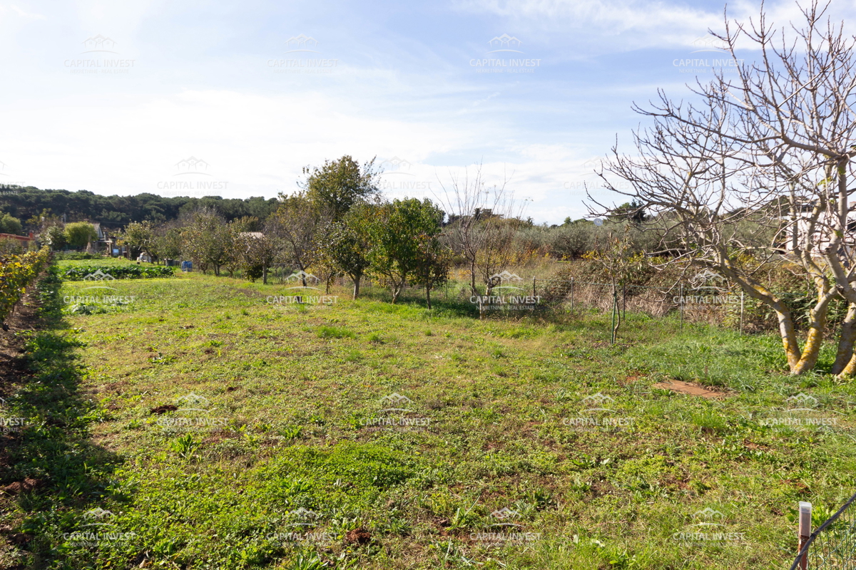 Kmetijsko zemljišče, Pula, Istra
