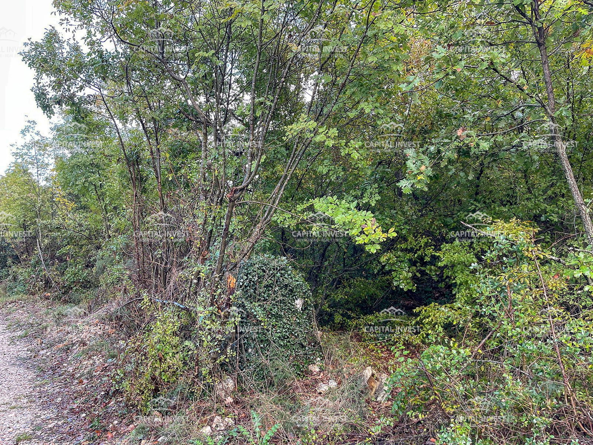 Kmetijsko zemljišče Šegotići, Krnica, Istra