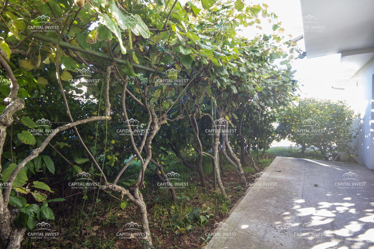 Hiša z veliko zemljiščem blizu morja, Medulin, Istra