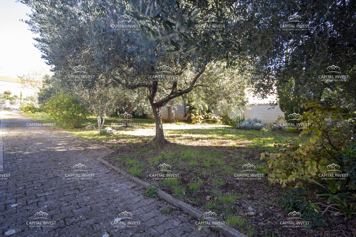 Hiša z veliko zemljiščem blizu morja, Medulin, Istra