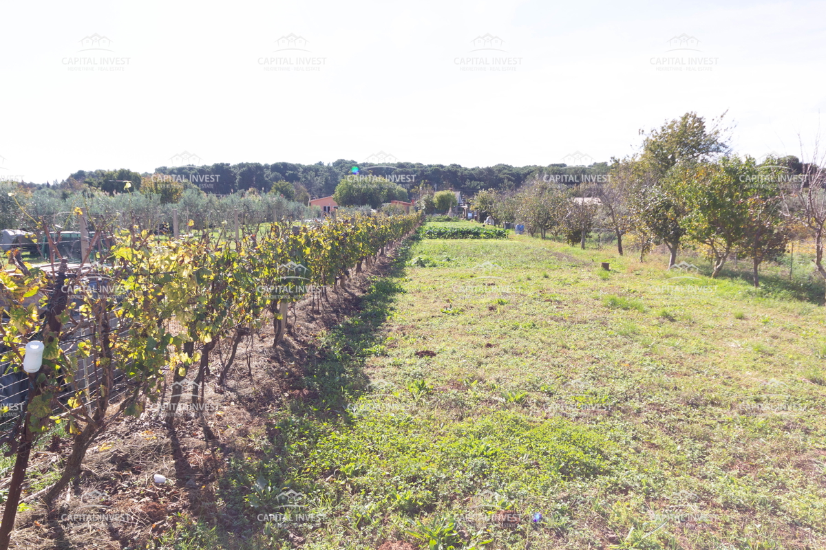 Kmetijsko zemljišče, Pula, Istra