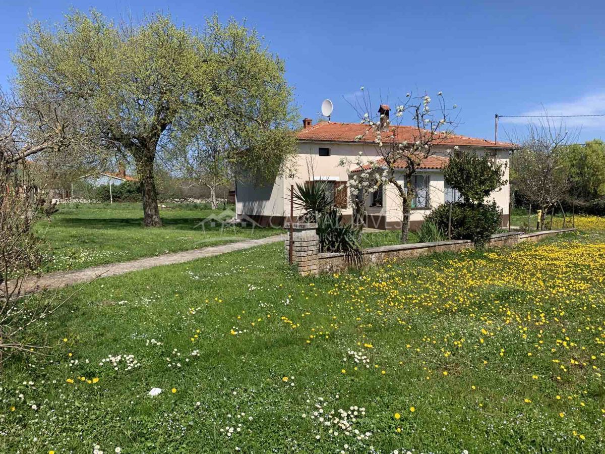 Hiša, Barban, Istra