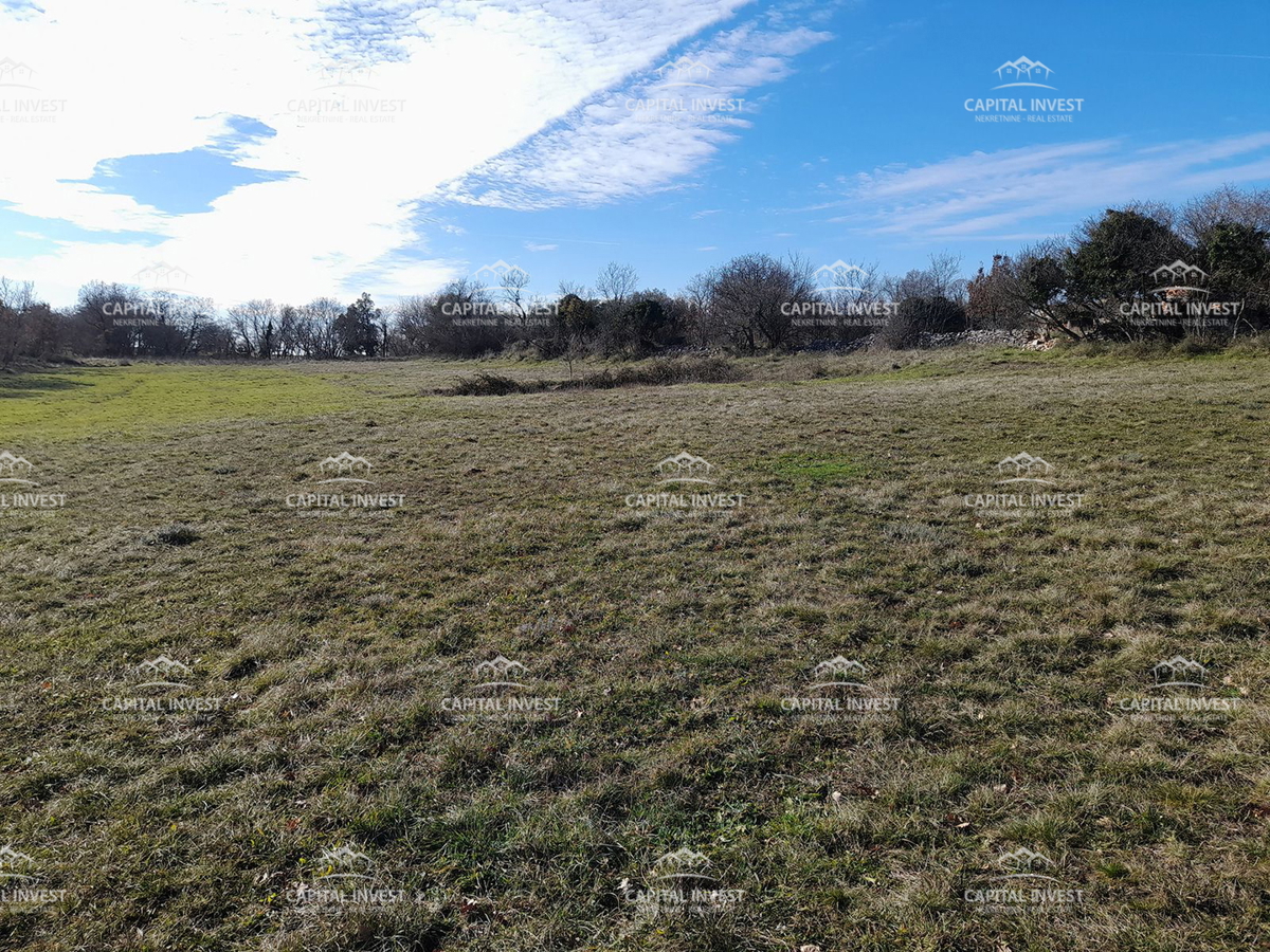 Gradbeno zemljišče, Cokuni, Istra