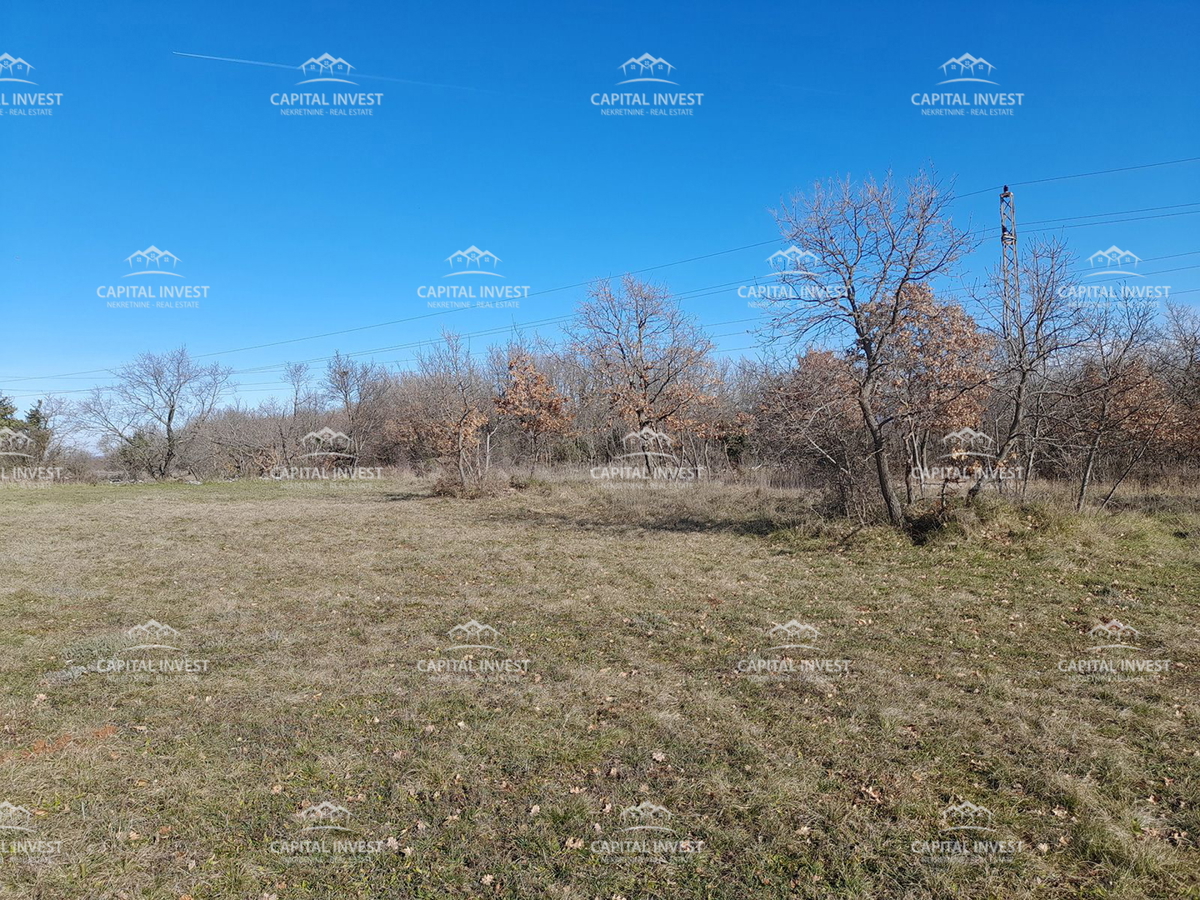 Gradbeno zemljišče, Cokuni, Istra