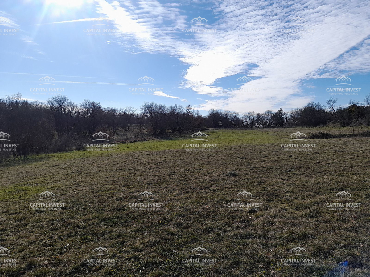 Gradbeno zemljišče, Cokuni, Istra