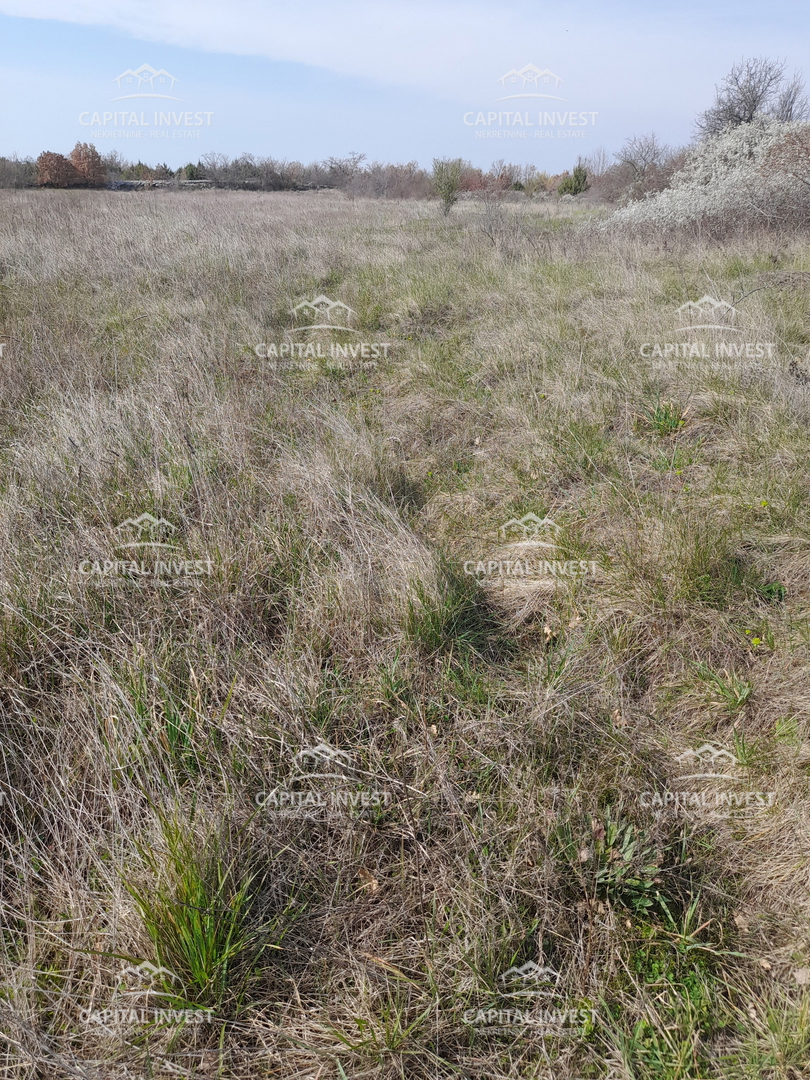 Kmetijsko zemljišče Smoljanci, Svetvinčenat