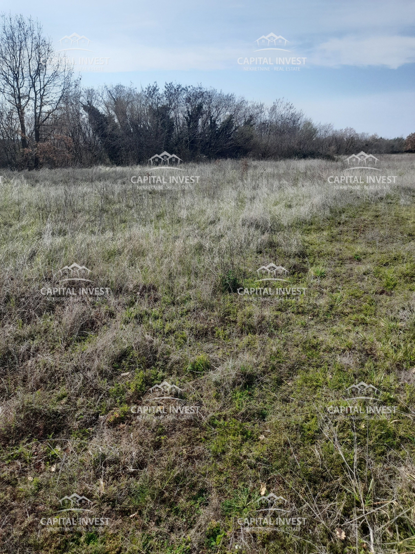 Kmetijsko zemljišče Smoljanci, Svetvinčenat