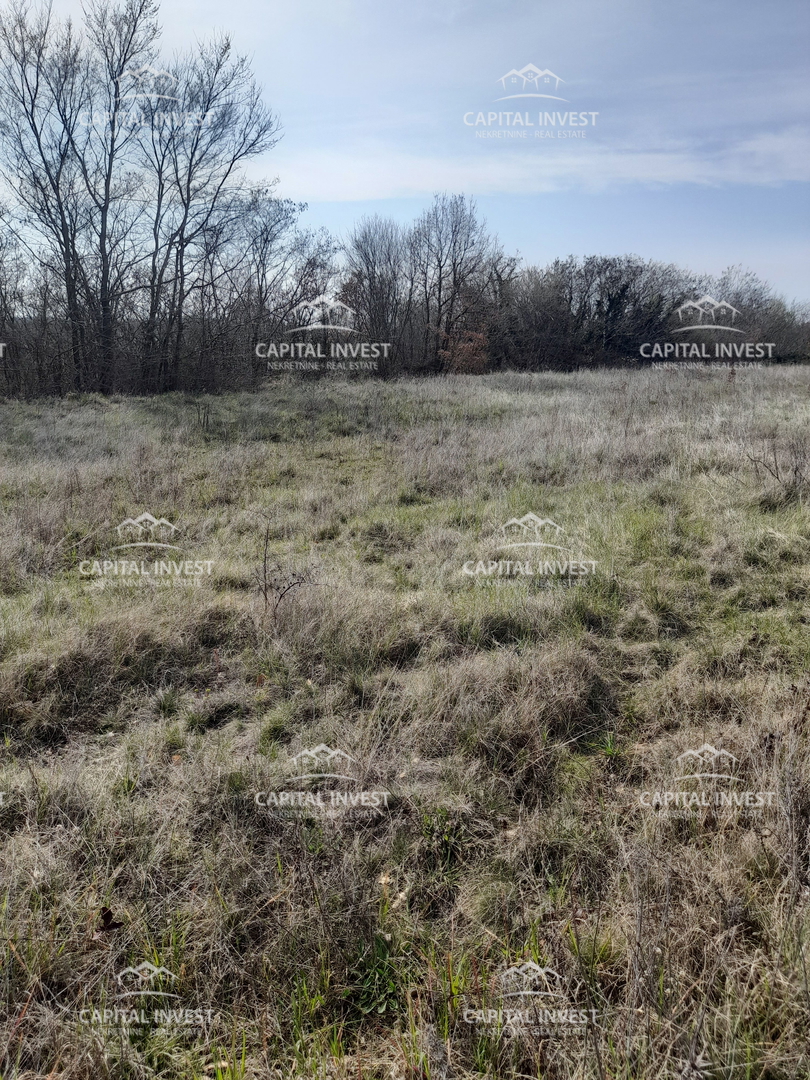 Kmetijsko zemljišče Smoljanci, Svetvinčenat