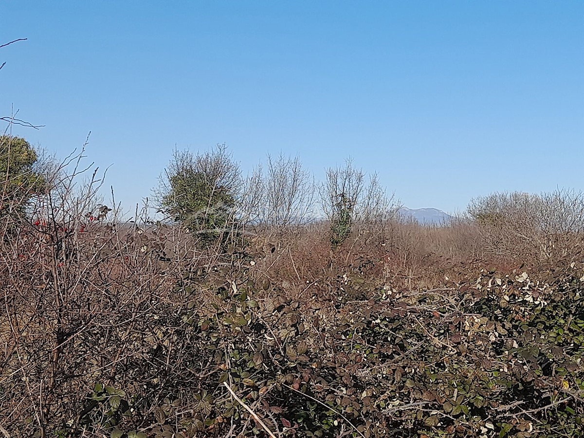 Zemljišče z gradbenim dovoljenjem Bratulići, Istra