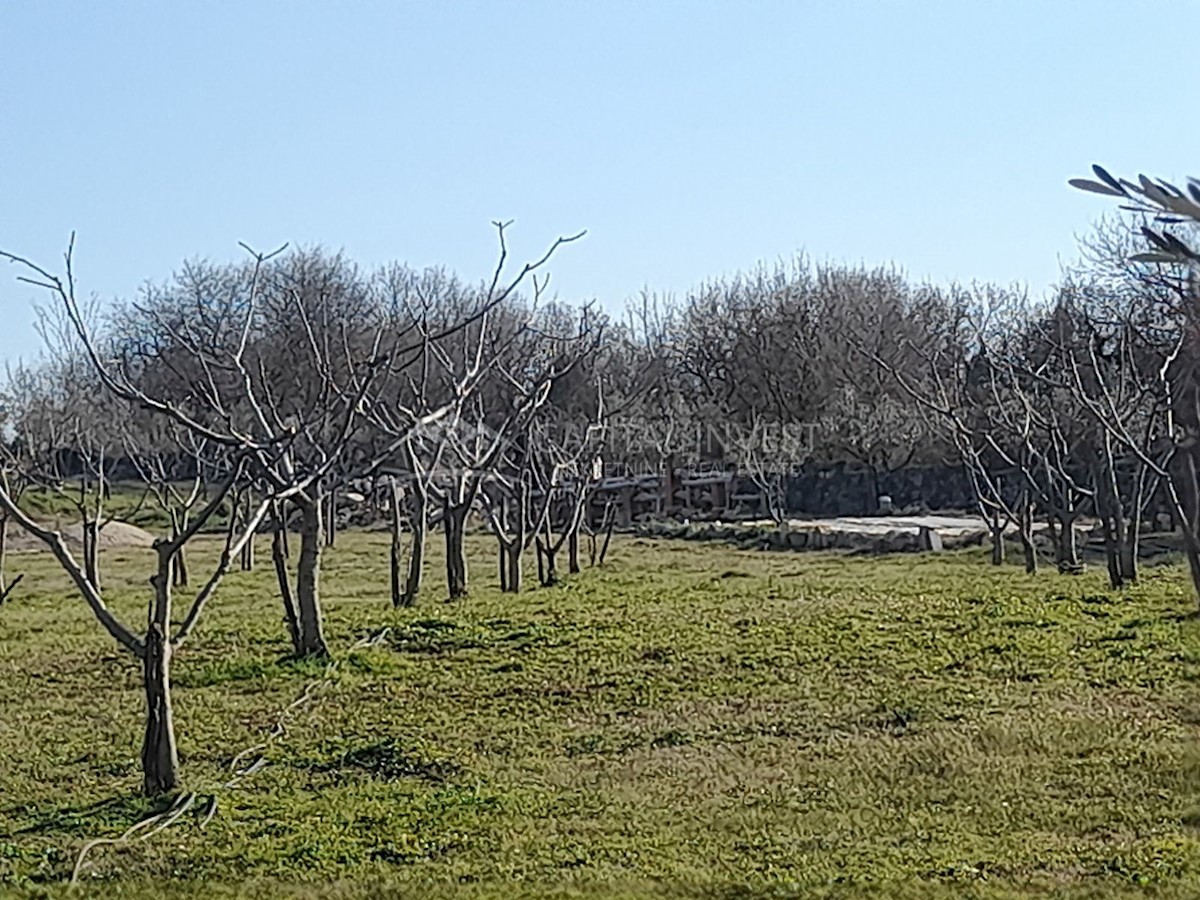 Zemljišče z gradbenim dovoljenjem Bratulići, Istra