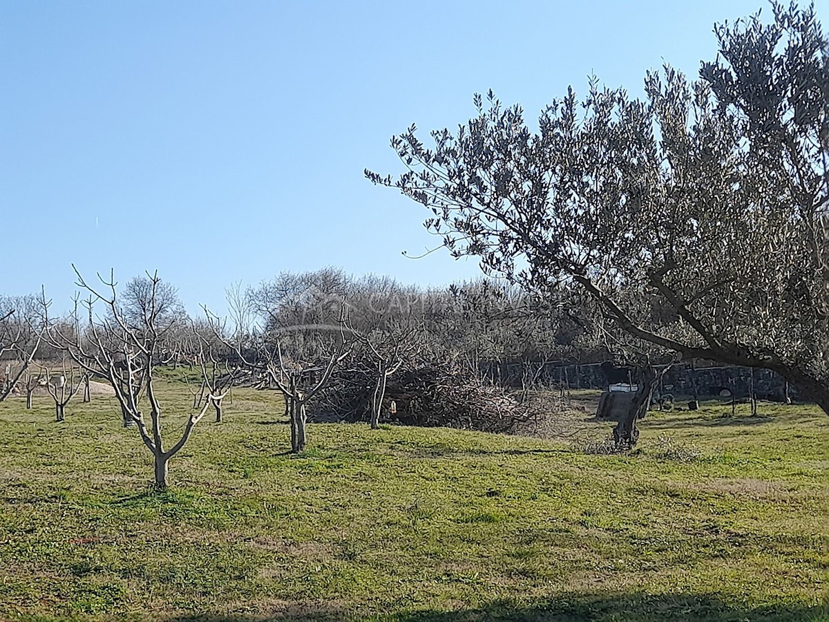 Zemljišče z gradbenim dovoljenjem Bratulići, Istra