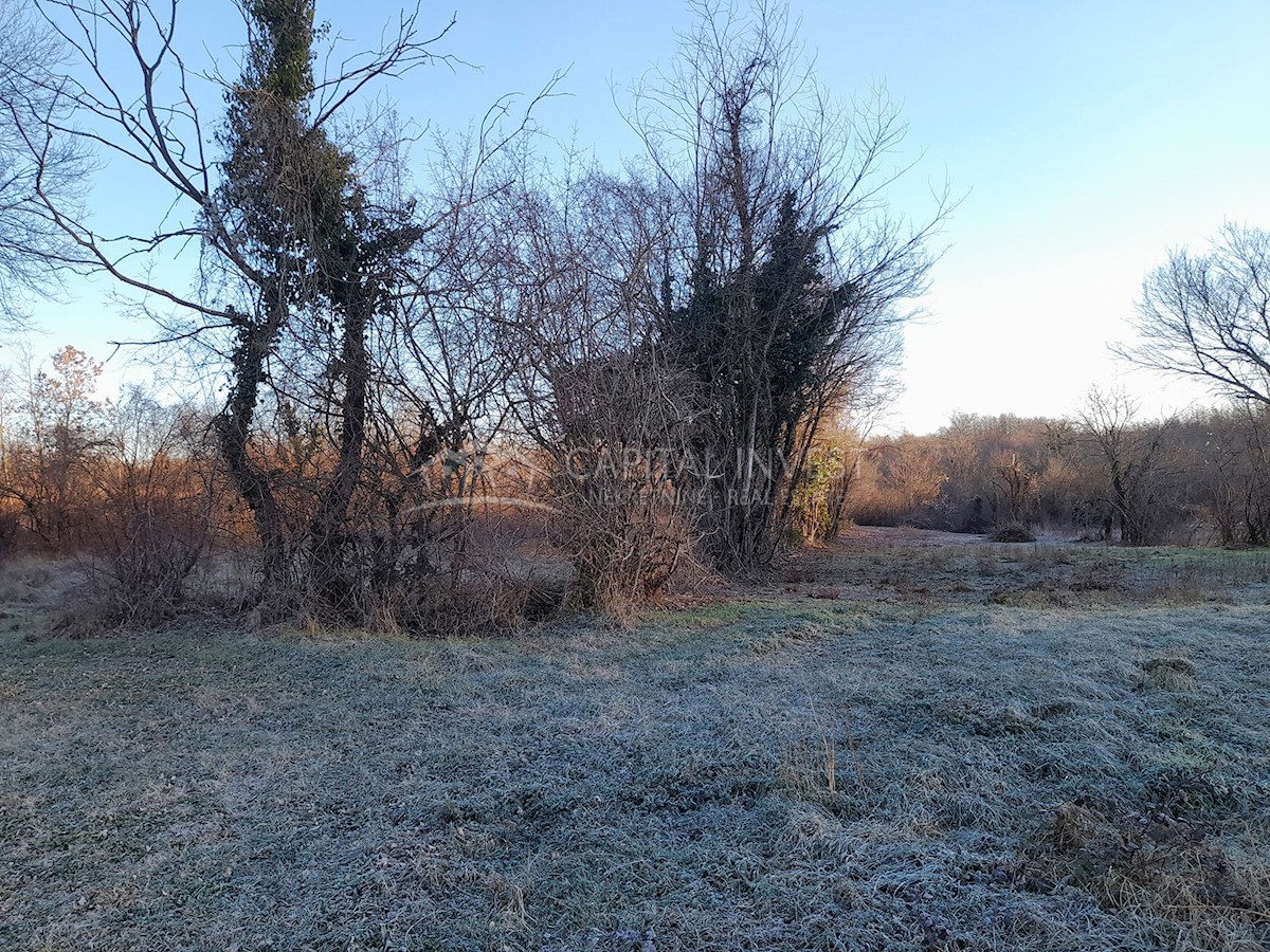 Gradbeno zemljišče s projektom, Barban, Istra