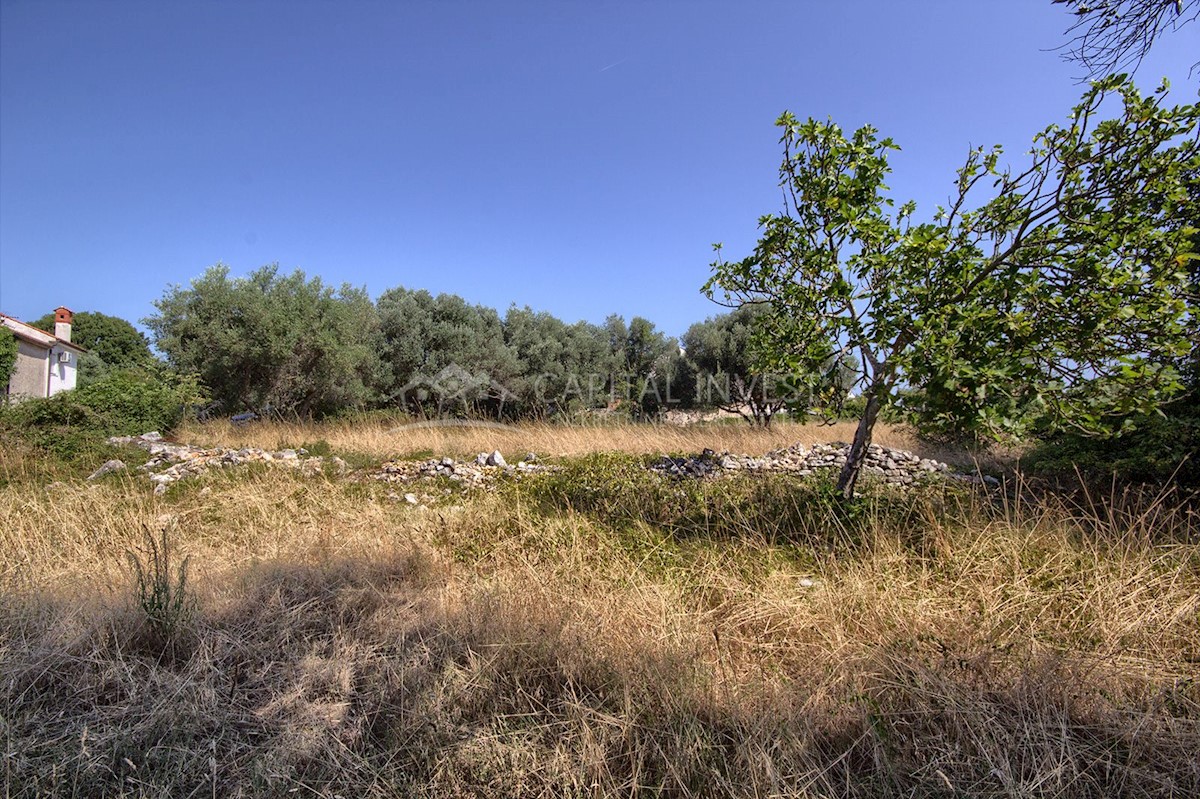 Zemljišče Pavićini, Marčana, 800m2