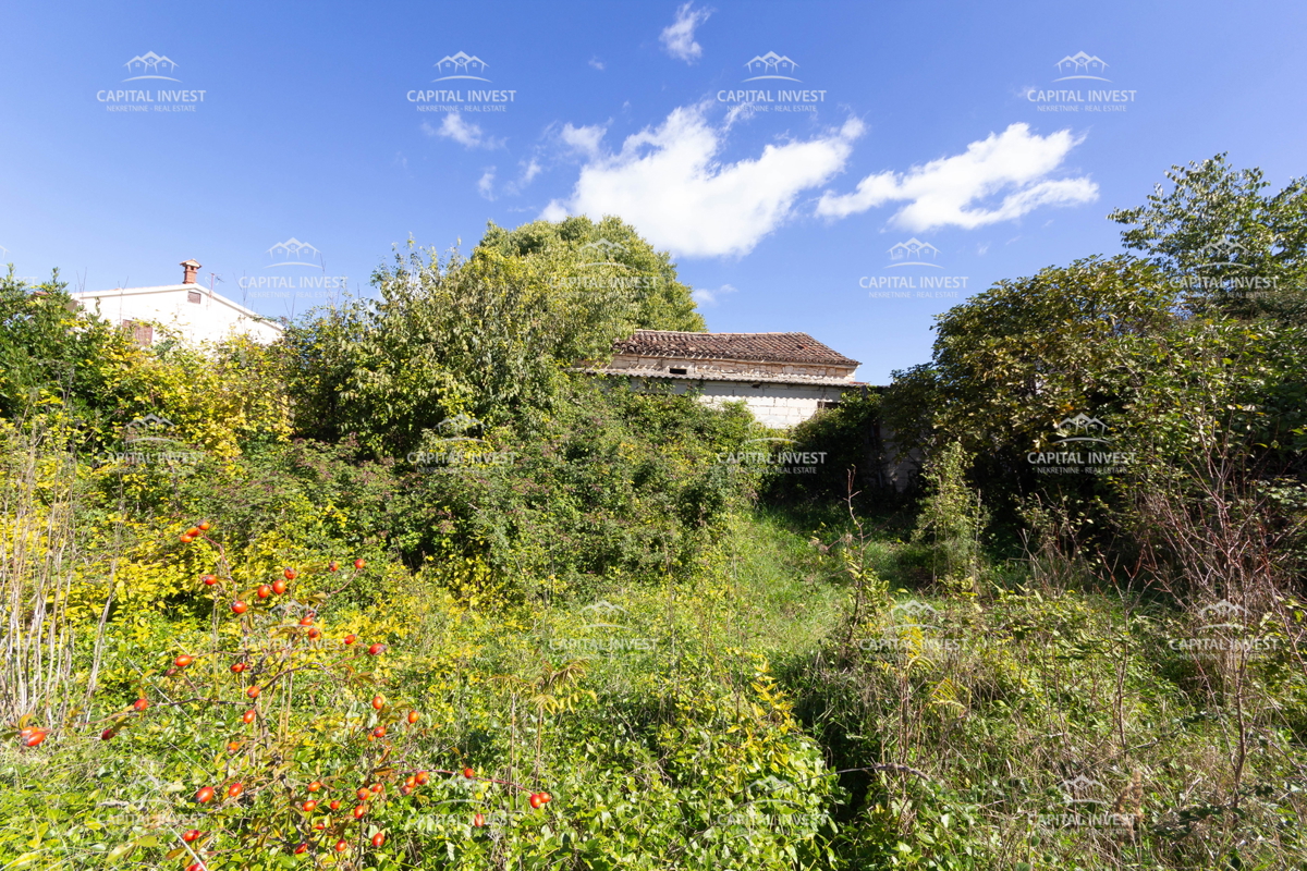 Kmečka posest, Savičenta, Istra