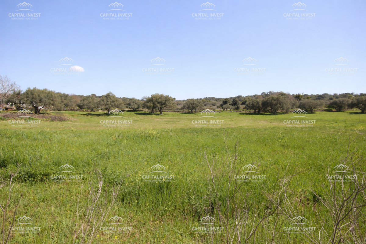 Stanovanje, v gradnji, trisobno, balkon, Pula, Istra