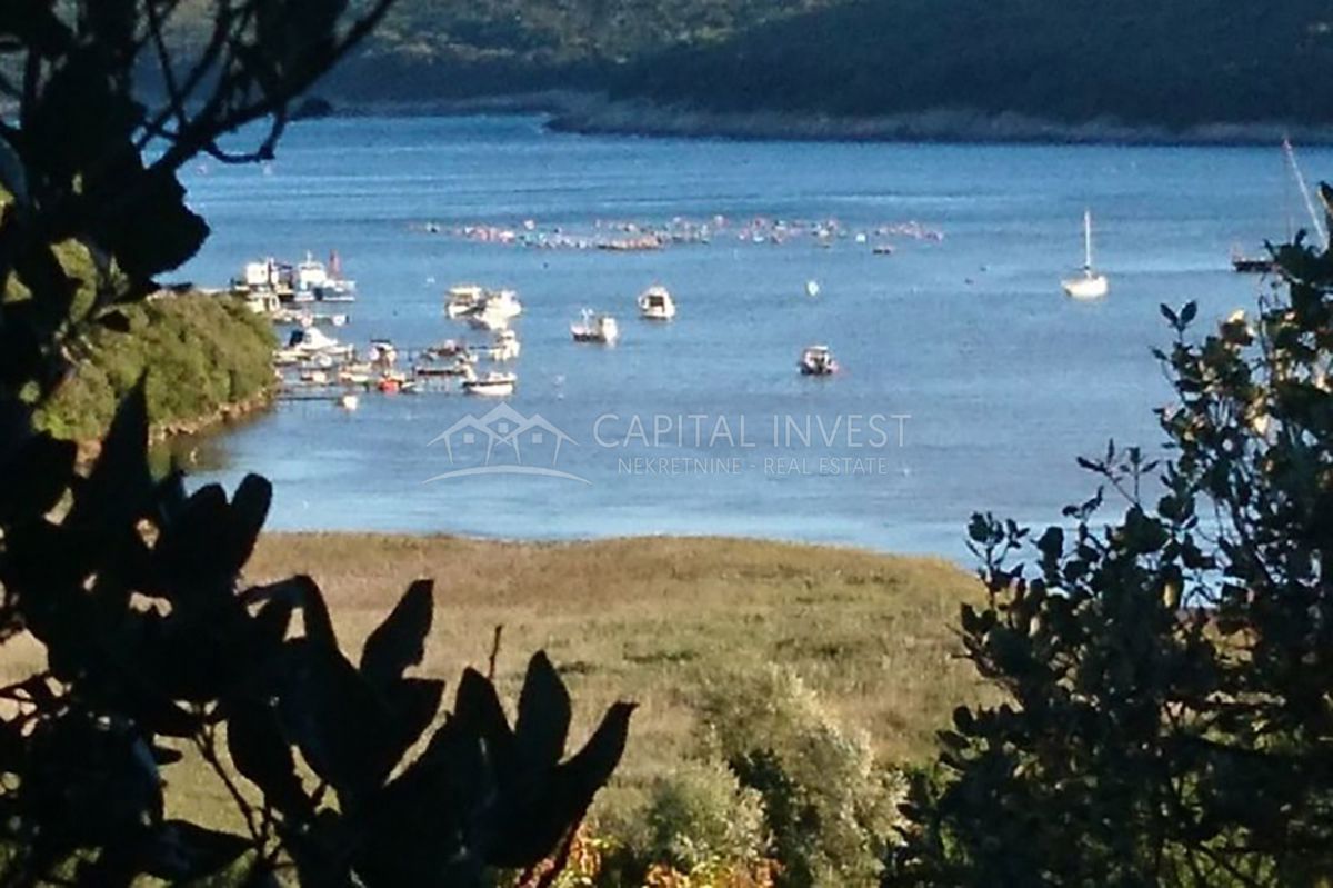 Kmetijsko zemljišče s pogledom na morje, Budava, Istra