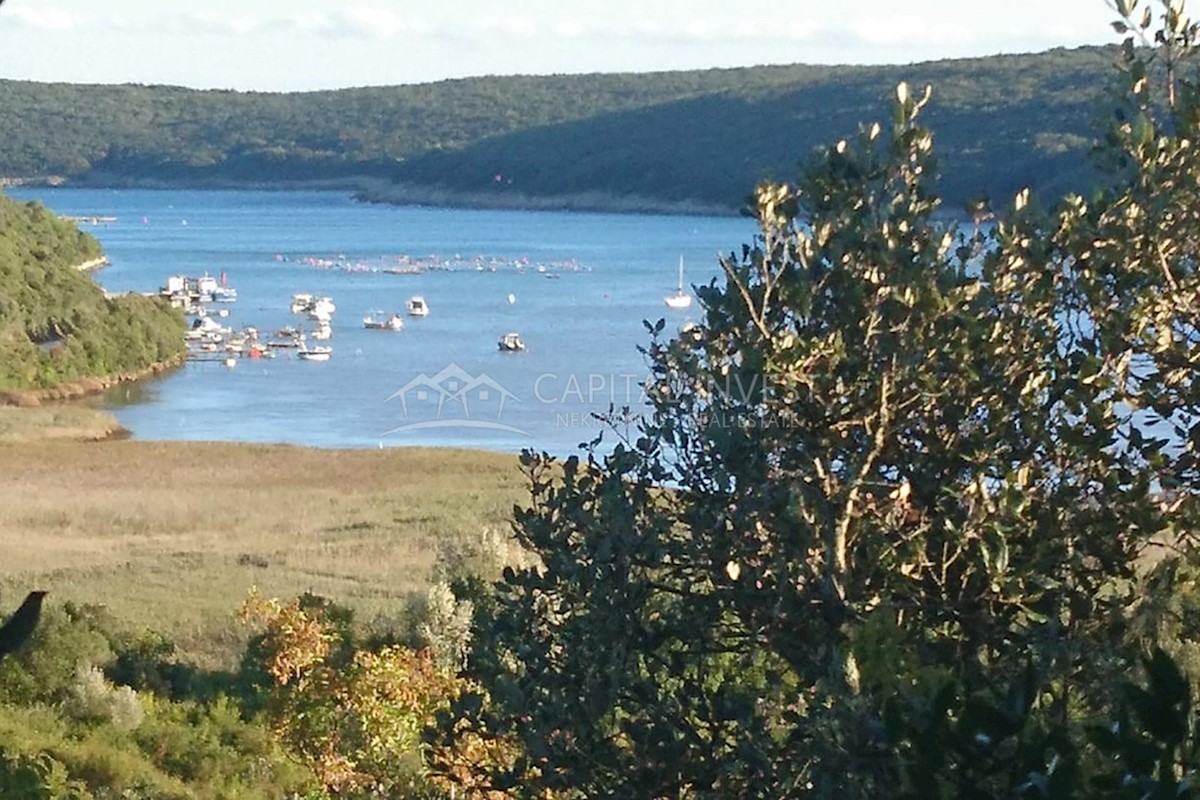 Kmetijsko zemljišče s pogledom na morje, Budava, Istra