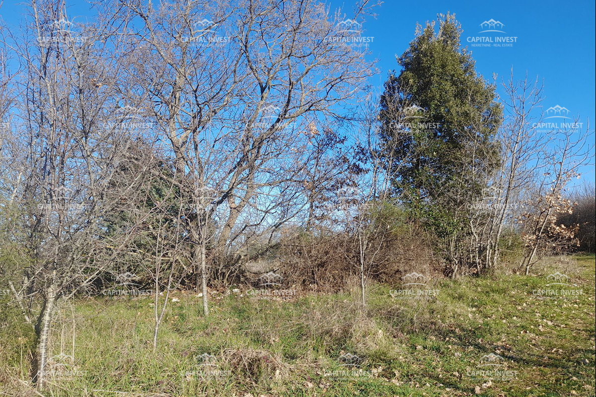 Gradbeno zemljišče, Veliki Vareški, Istra