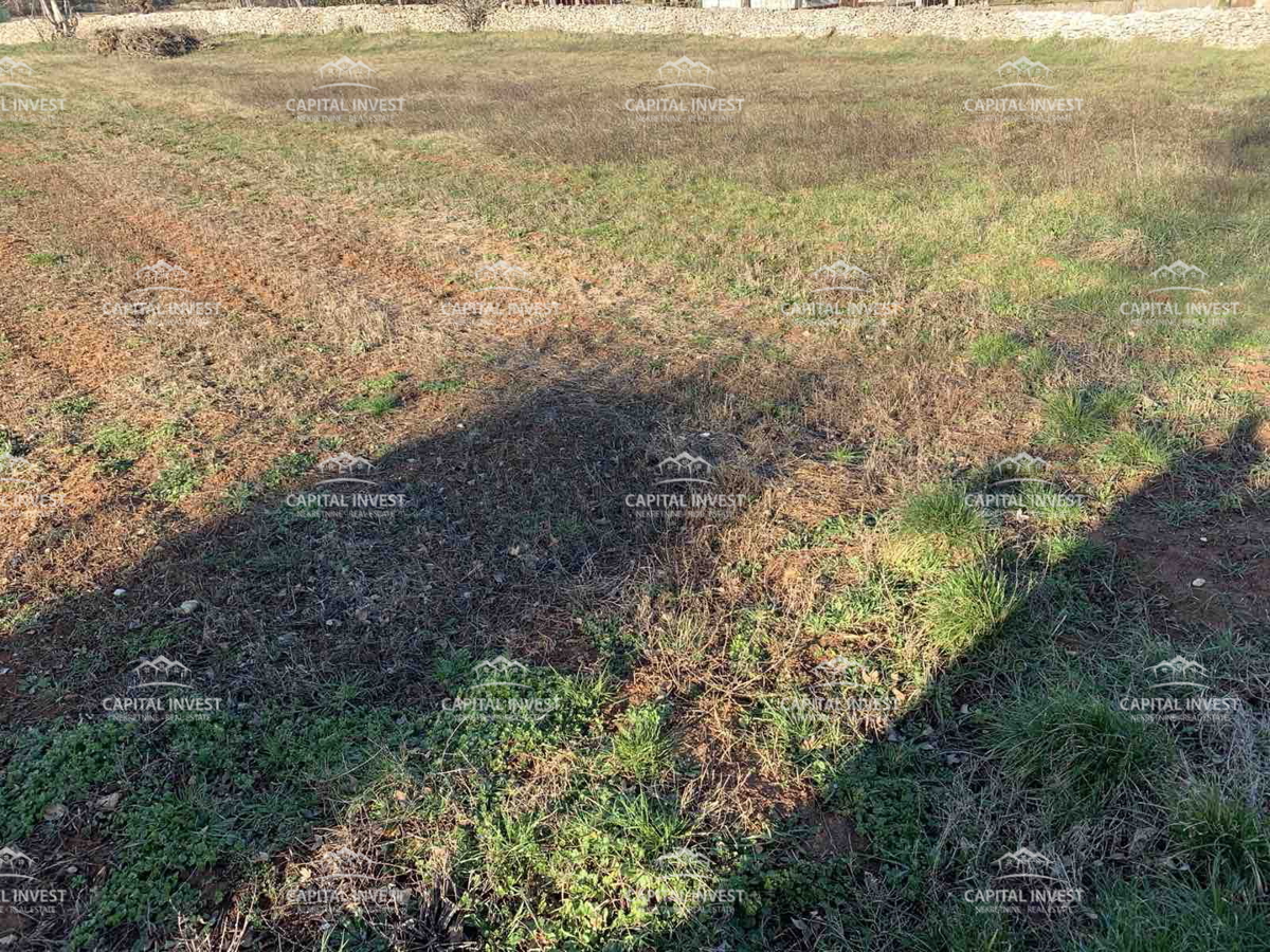 Gradbeno zemljišče, okolica Barbana, Istra