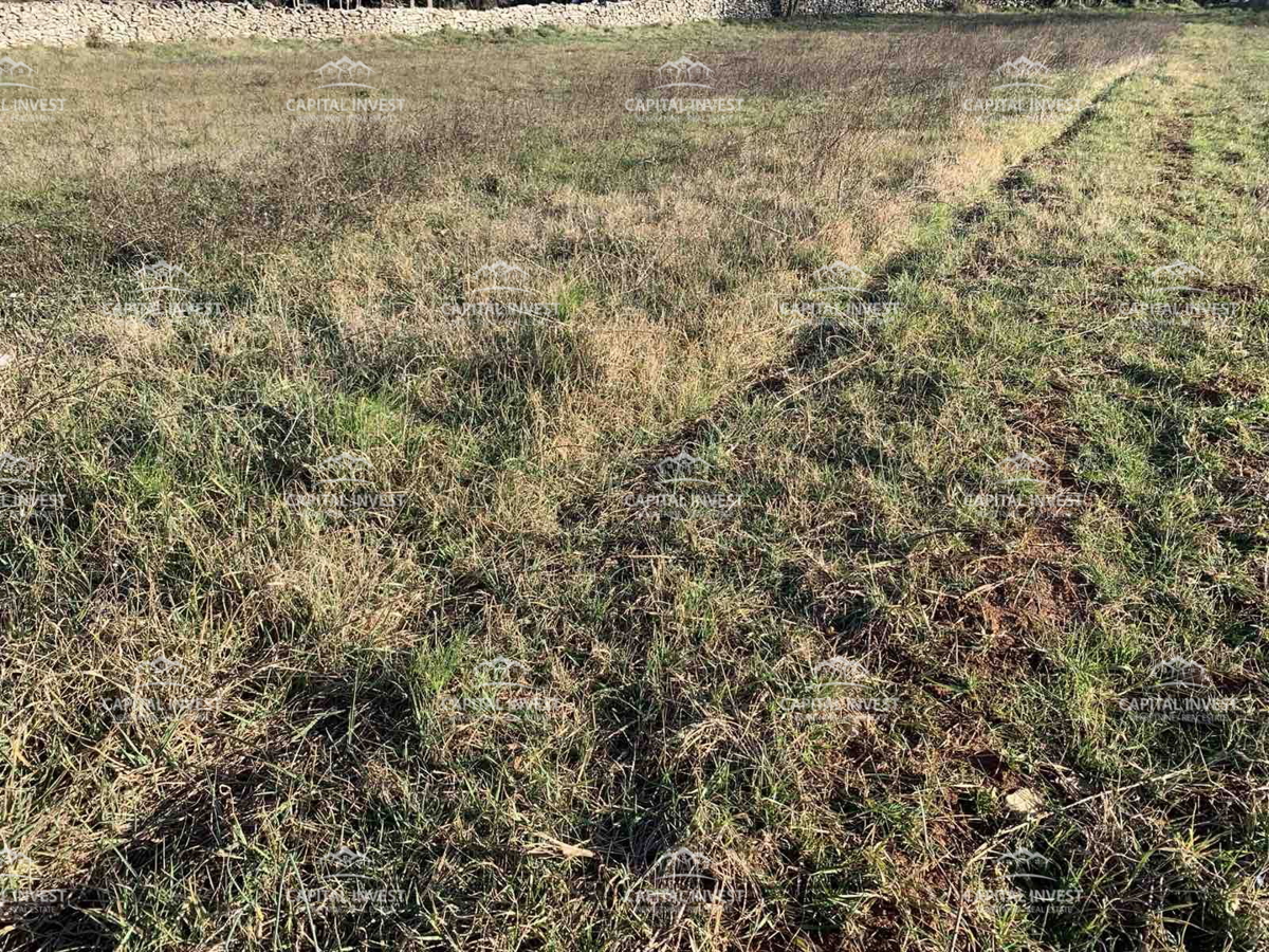 Gradbeno zemljišče, okolica Barbana, Istra