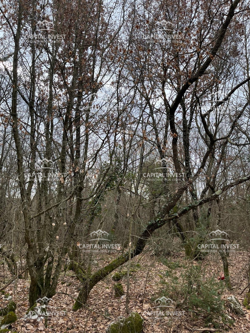 Kamnolom, Lovreč, Istra