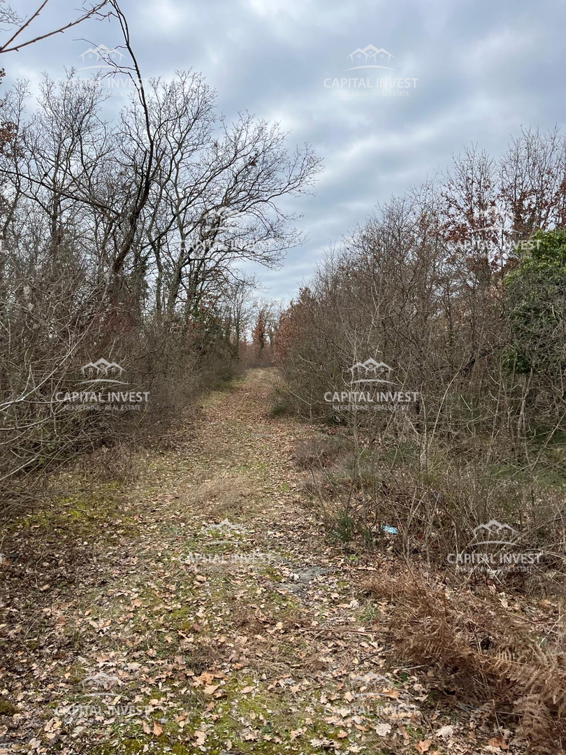 Kamnolom, Lovreč, Istra