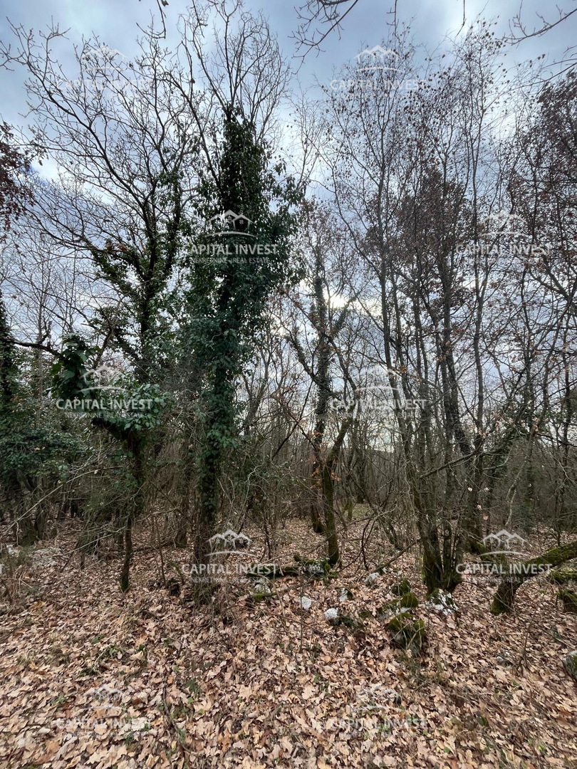 Kamnolom, Lovreč, Istra