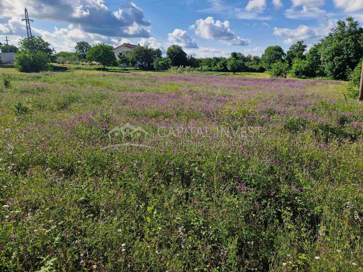 Istra, Bratulići, Zazidljivo zemljišče