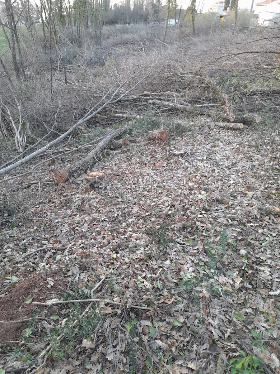 Zemljišče Križanci, Žminj, 5.800m2