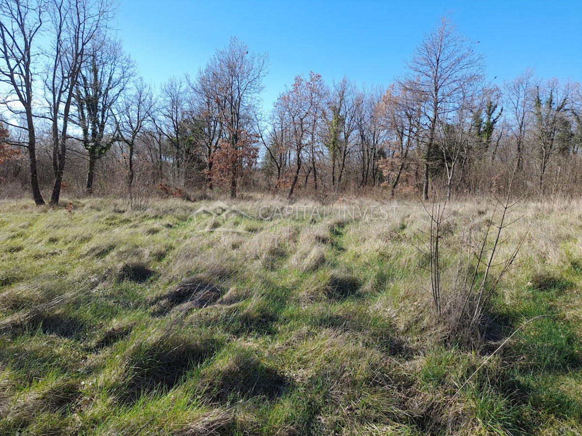 Zemljišče Krnica, Marčana, 3.600m2