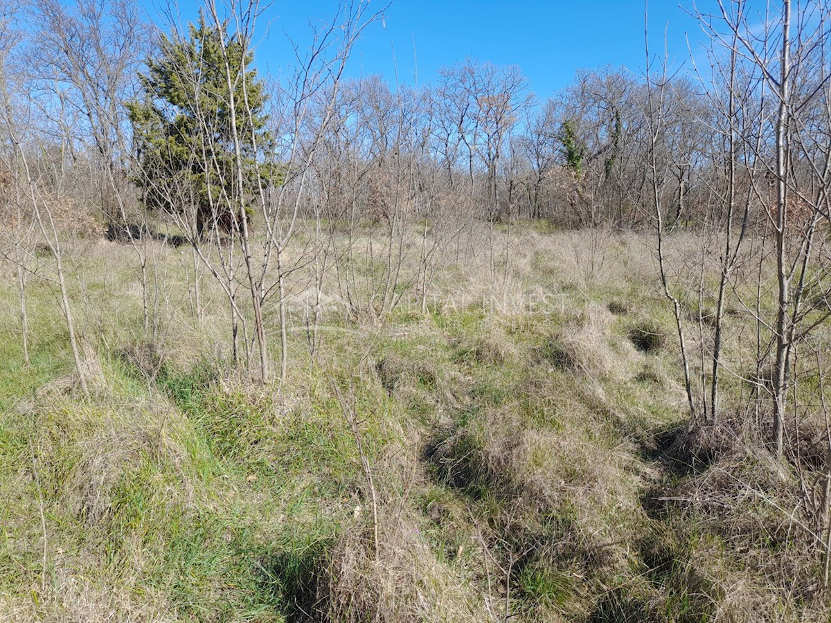 Zemljišče Krnica, Marčana, 3.600m2