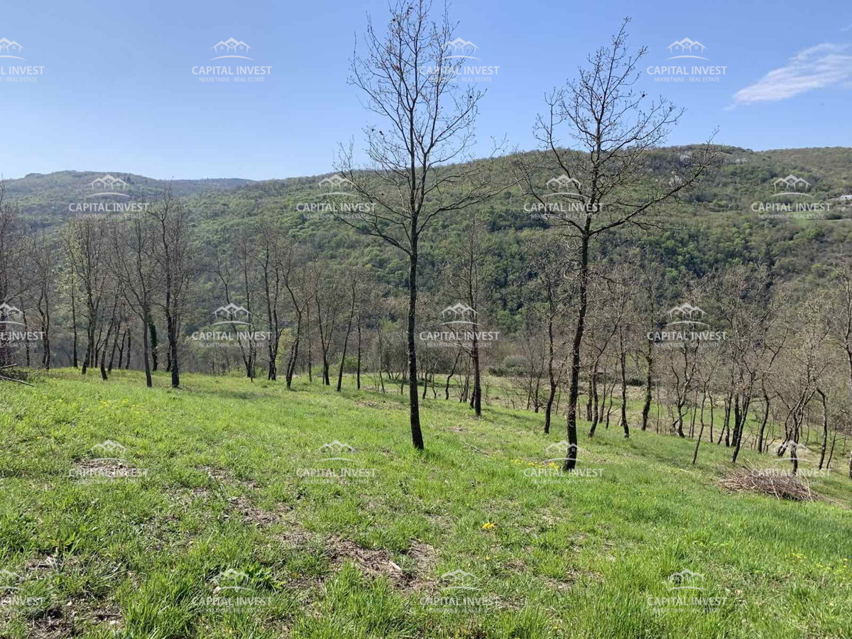 Gradbeno zemljišče, Motovun, Istra