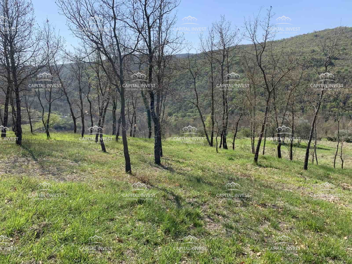 Gradbeno zemljišče, Motovun, Istra