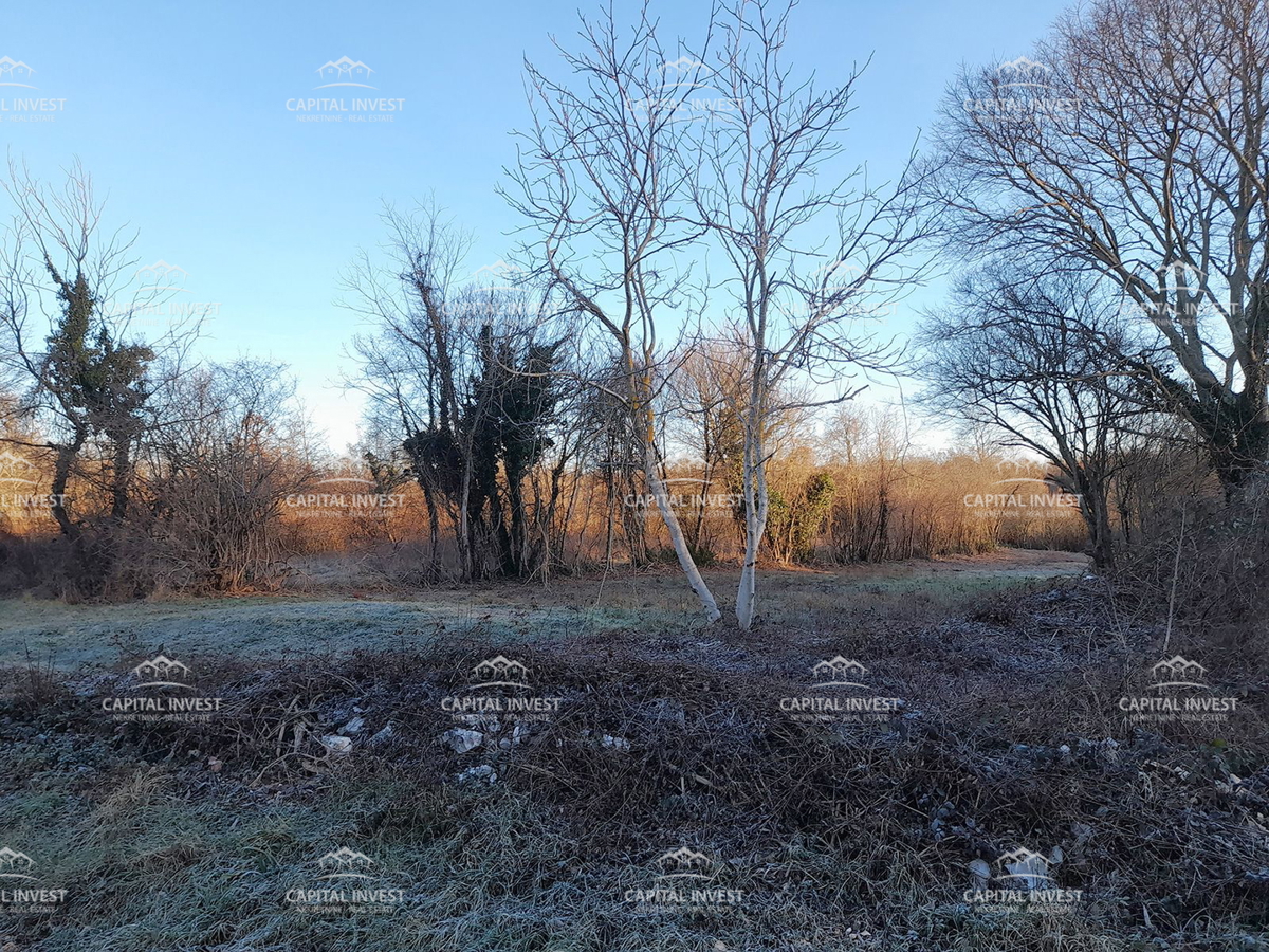 Gradbeno zemljišče s projektom, Barban, Istra