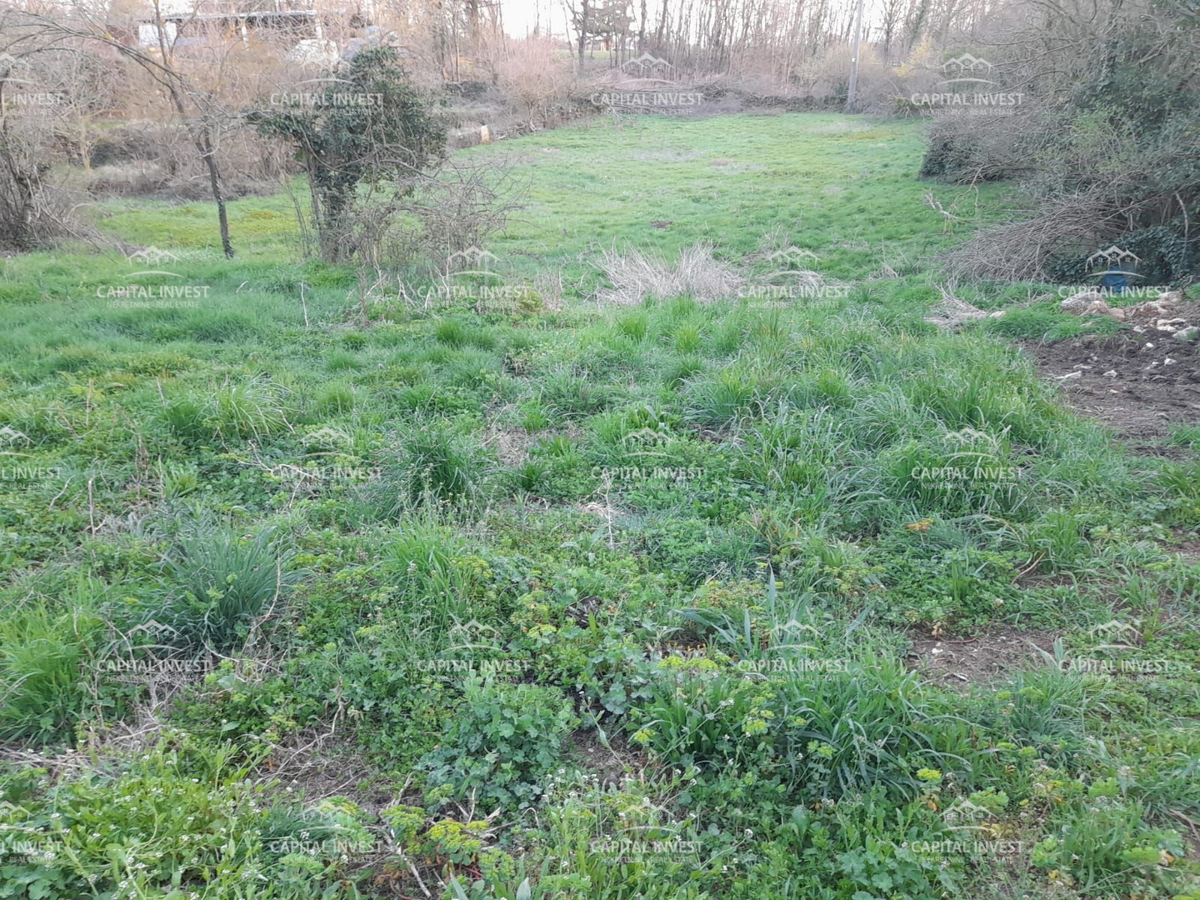 Gradbeno zemljišče, 5800 m2, Žminj, Istra