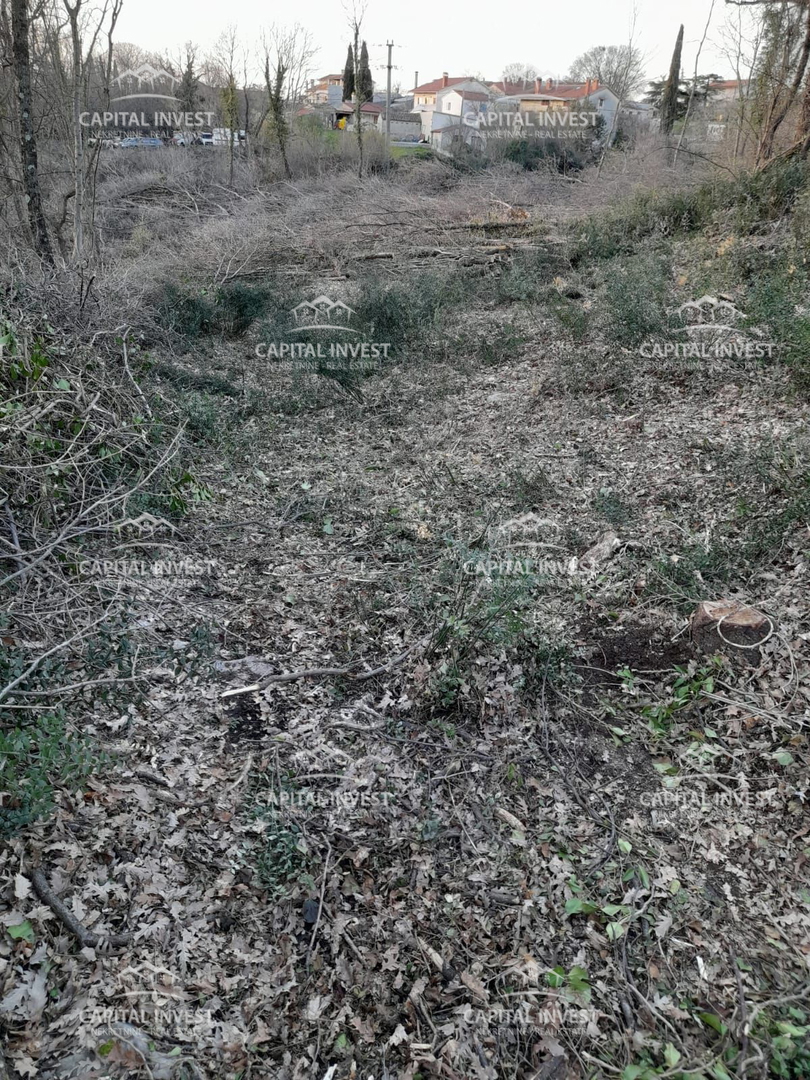 Gradbeno zemljišče, 5800 m2, Žminj, Istra