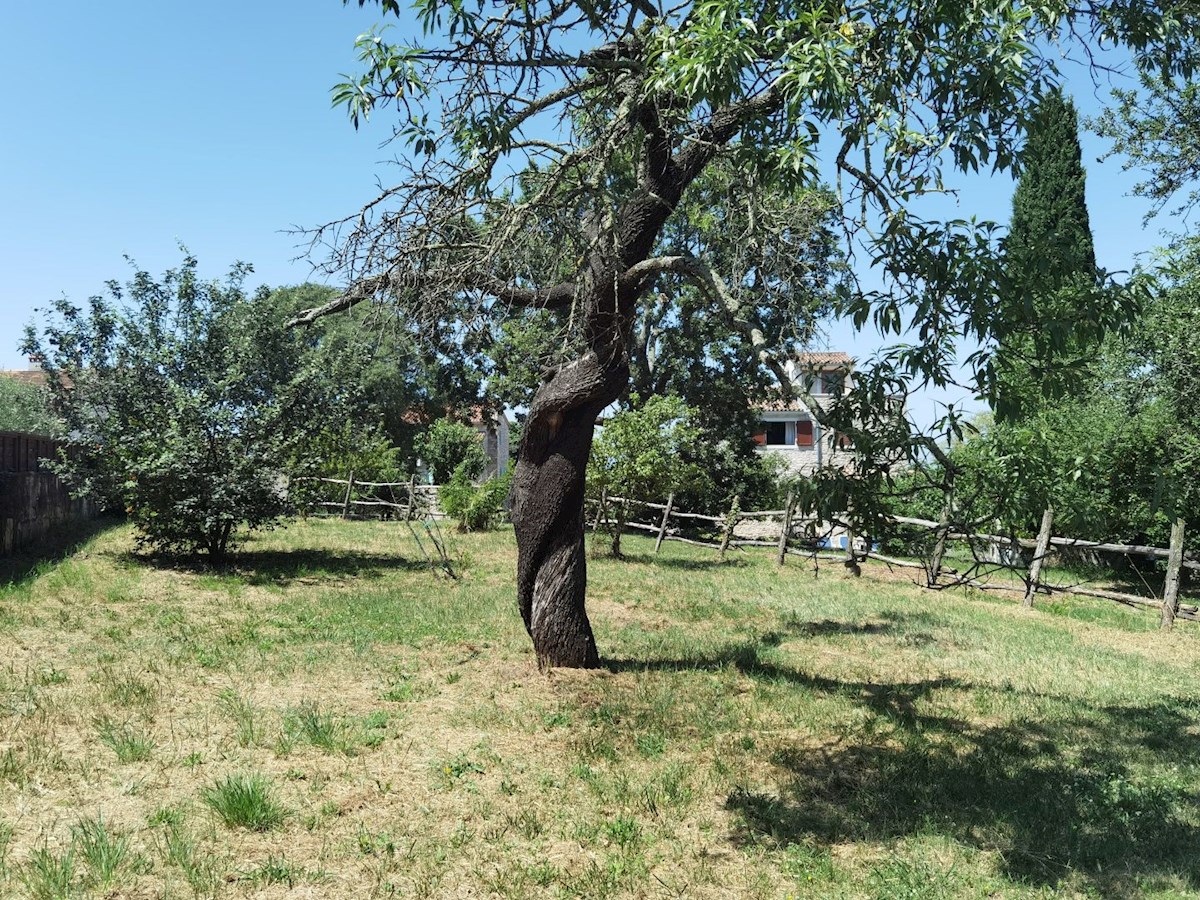 Obnovljena istrska kamnita hiša z velikim vrtom v mirni vasi blizu Poreča