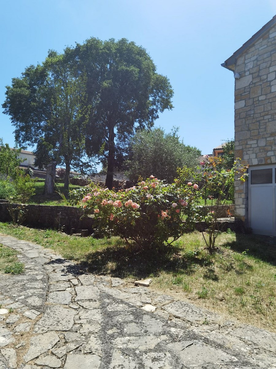 Obnovljena istrska kamnita hiša z velikim vrtom v mirni vasi blizu Poreča