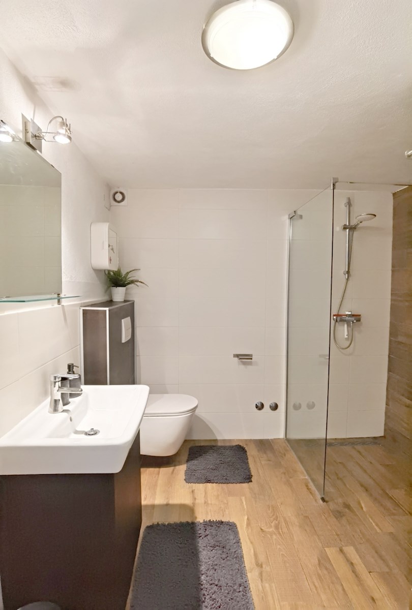 Hiša z bazenom v mirnem okolju – Brkač, Istra