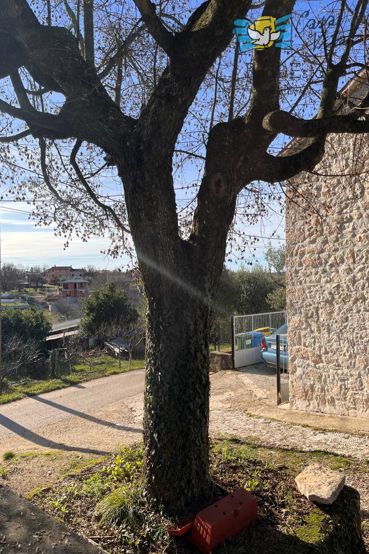 Kamnita hiša za obnovo - 15 km od Poreča!