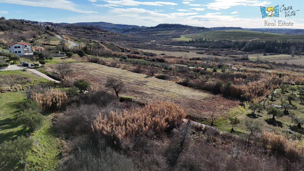 Istra, gradbeno zemljišče za družinsko hišo, Buje