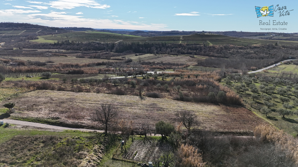 Istra, gradbeno zemljišče za družinsko hišo, Buje