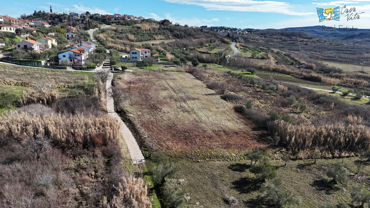 Istra, gradbeno zemljišče za družinsko hišo, Buje